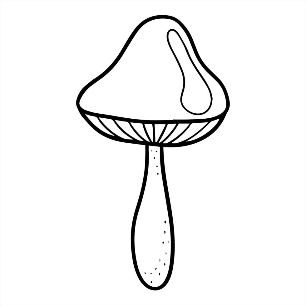 forest mushroom with a brown cap. woodland isolated edible mushroom. autumn gifts of the forest. hand-drawn doodle illustration. Vegetarian food, proper nutrition vector