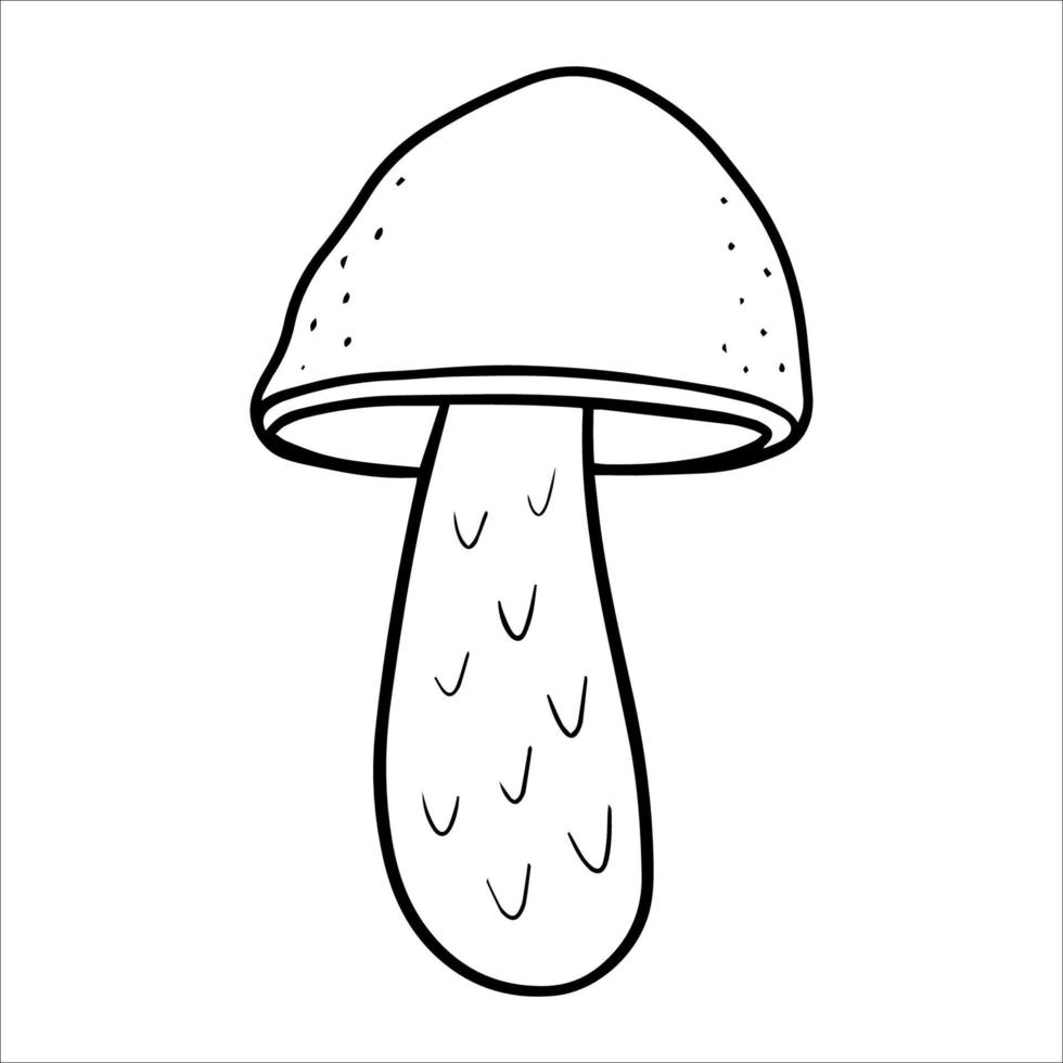 forest mushroom with a brown cap. woodland isolated edible mushroom. autumn gifts of the forest. hand-drawn doodle illustration. Vegetarian food, proper nutrition vector