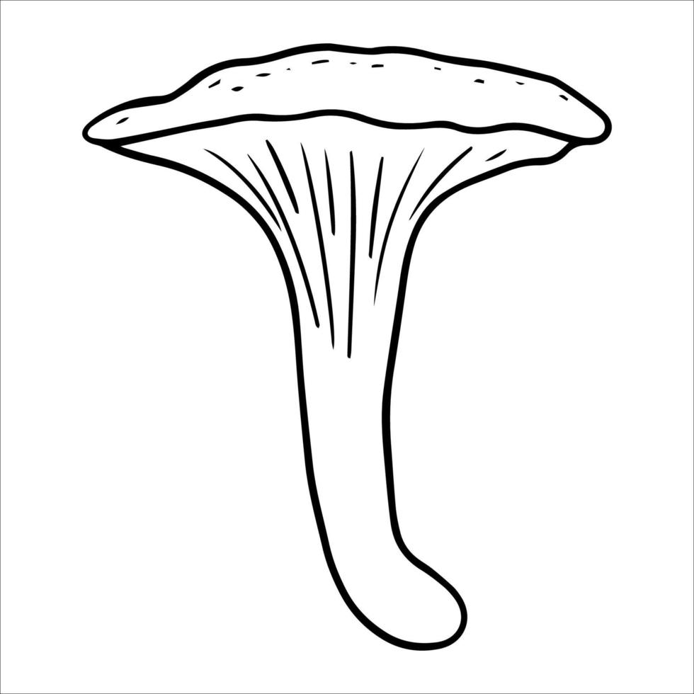 ilustración de hongos rebozuelos, ilustración de fideos vectoriales. comida orgánica saludable, comida vegetariana champiñones frescos aislados en fondo blanco vector