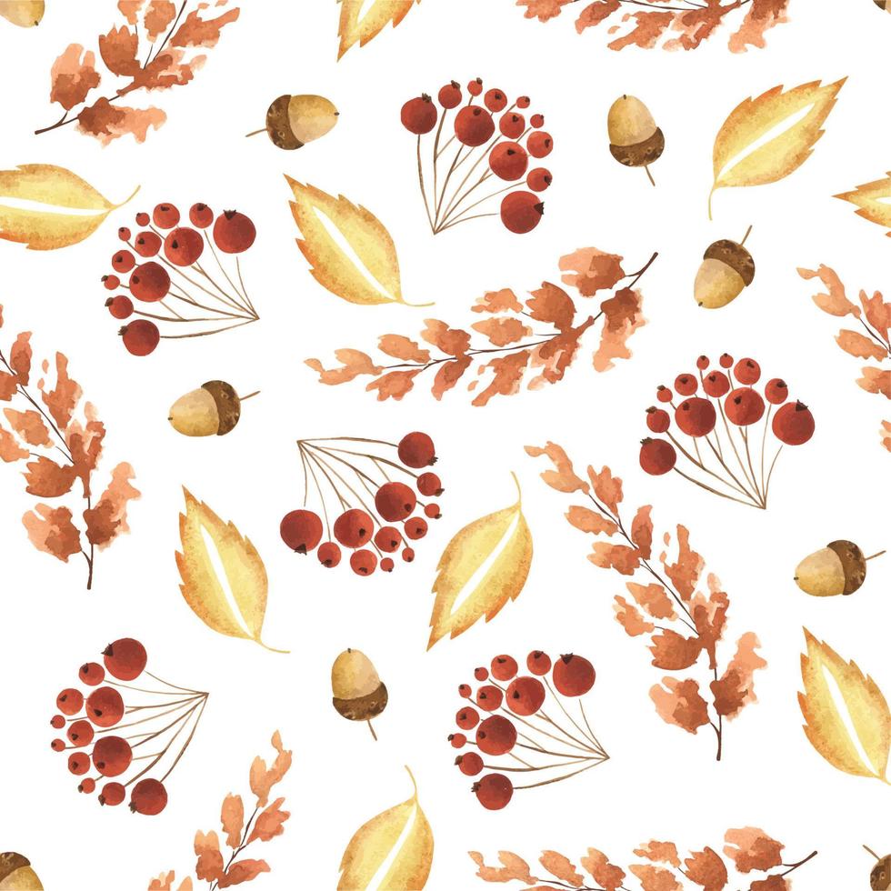 Watercolor Illustration of a seamless pattern from the branches of mountain ash, berries, leaves, botanical elements. Cute simple style. Suitable for winter holidays and natural botanical motives. vector