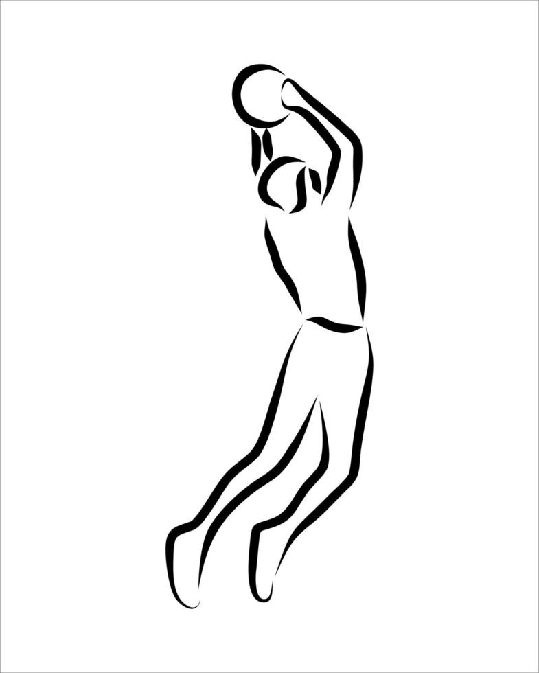Line drawing of professional player basketball vector