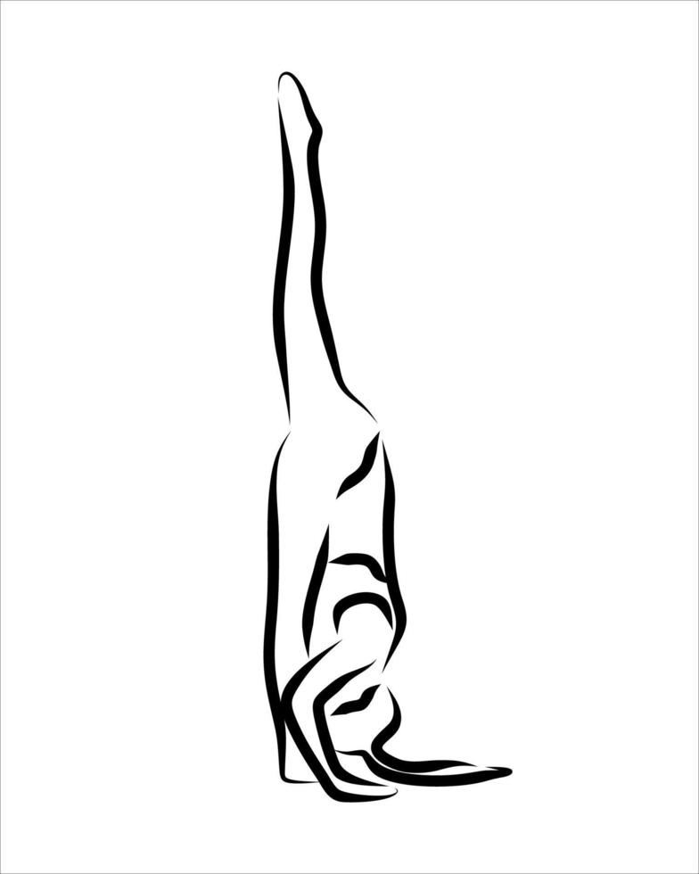 Line drawing of yoga vector
