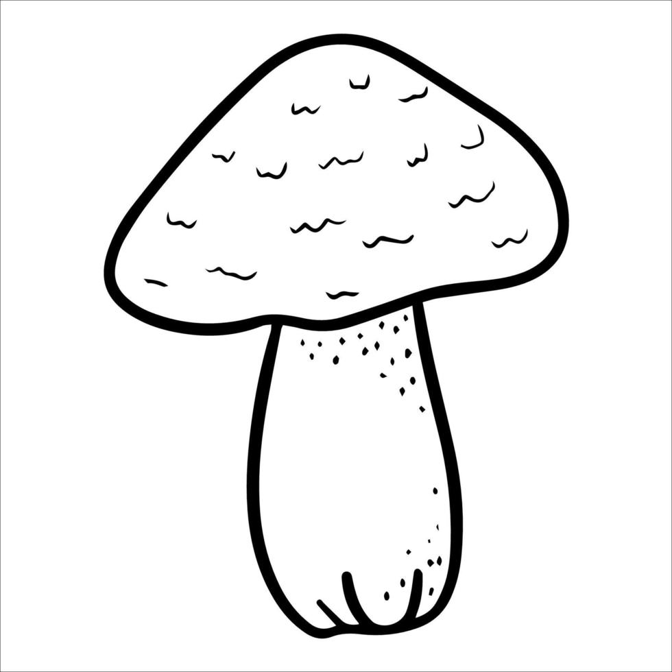 forest mushroom with a brown cap. woodland isolated edible mushroom. autumn gifts of the forest. hand-drawn doodle illustration. Vegetarian food, proper nutrition vector