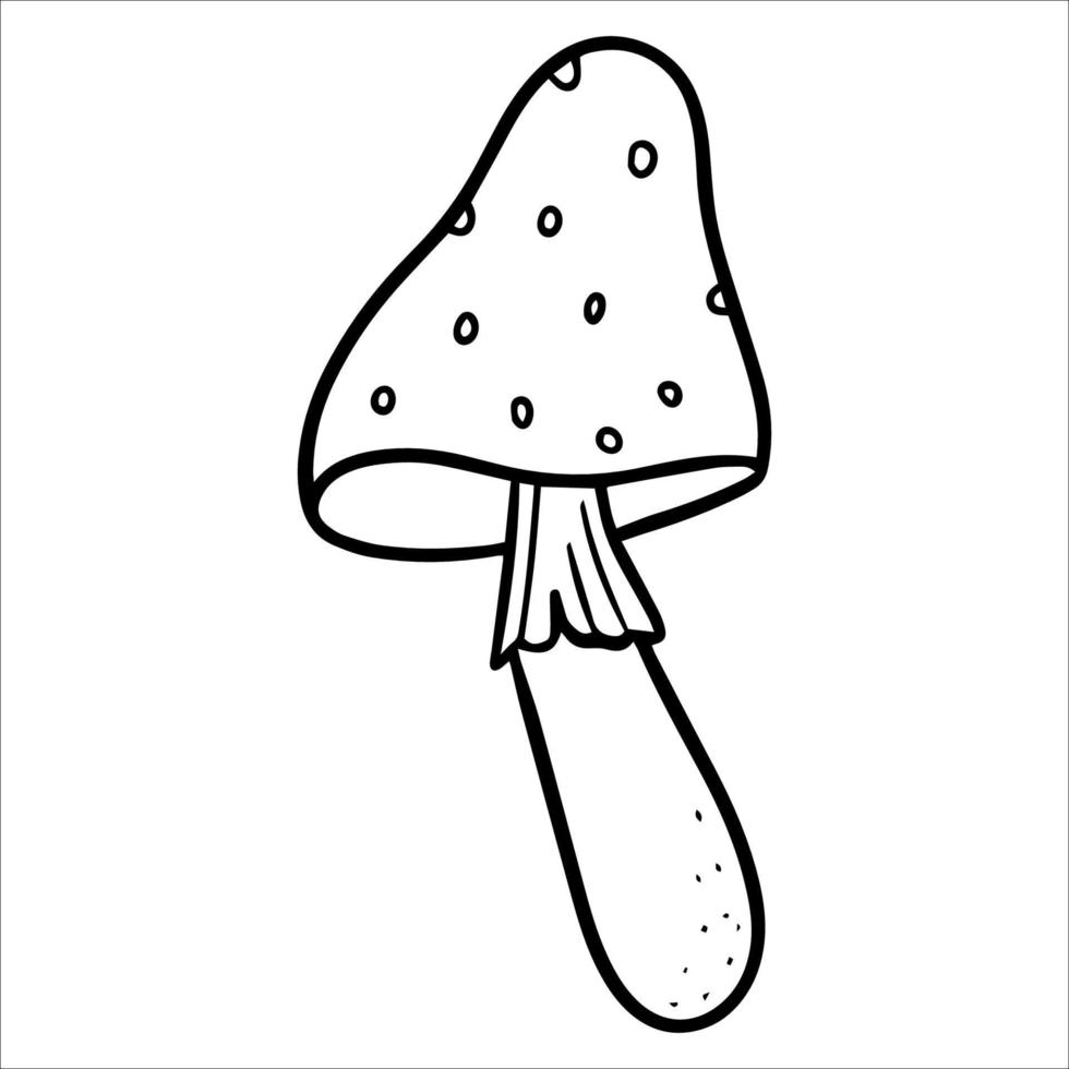 Fly agaric mushroom. Doodle illustration. Hand drawn poison fungi amanita muscaria. A poisonous dangerous mushroom for making potions vector