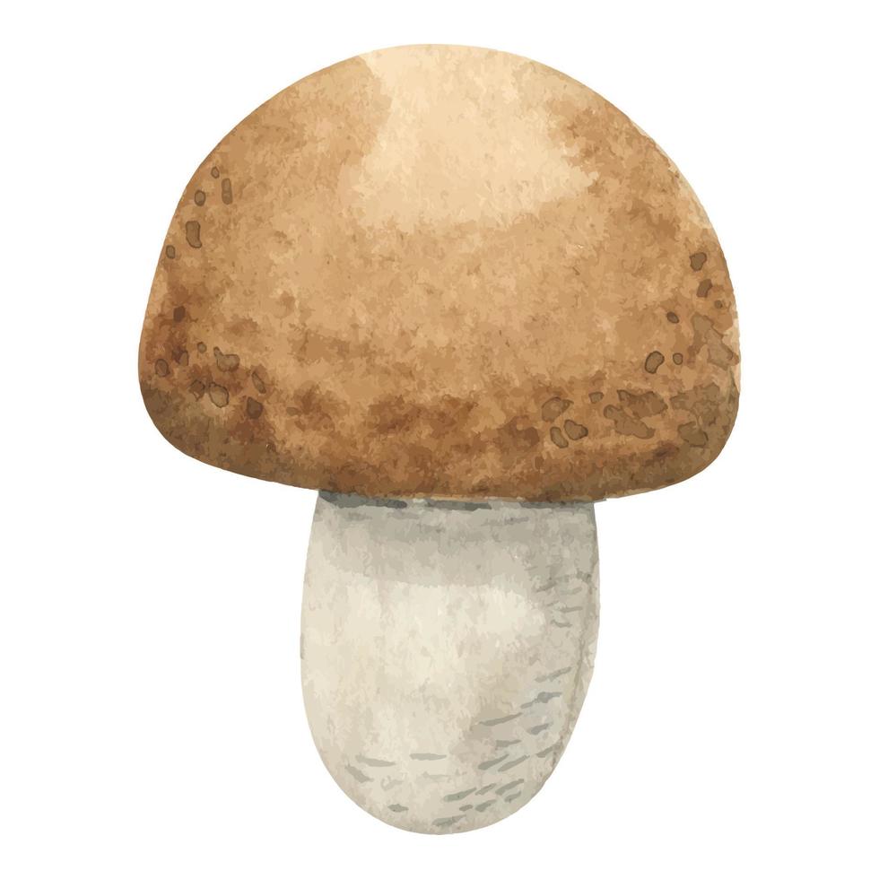 Watercolor forest mushroom with a brown cap. woodland isolated edible mushroom. autumn gifts of the forest. hand-drawn watercolor illustration. Vegetarian food, proper nutrition vector