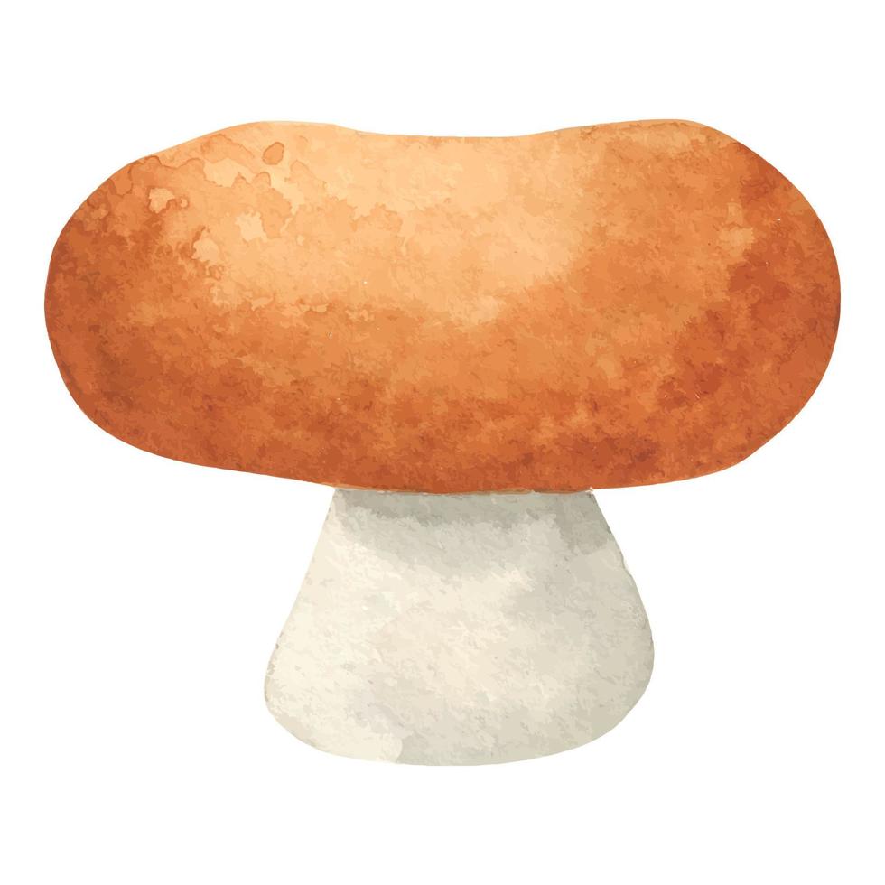 Watercolor forest mushroom with a brown cap. woodland isolated edible mushroom. autumn gifts of the forest. hand-drawn watercolor illustration. Vegetarian food, proper nutrition vector