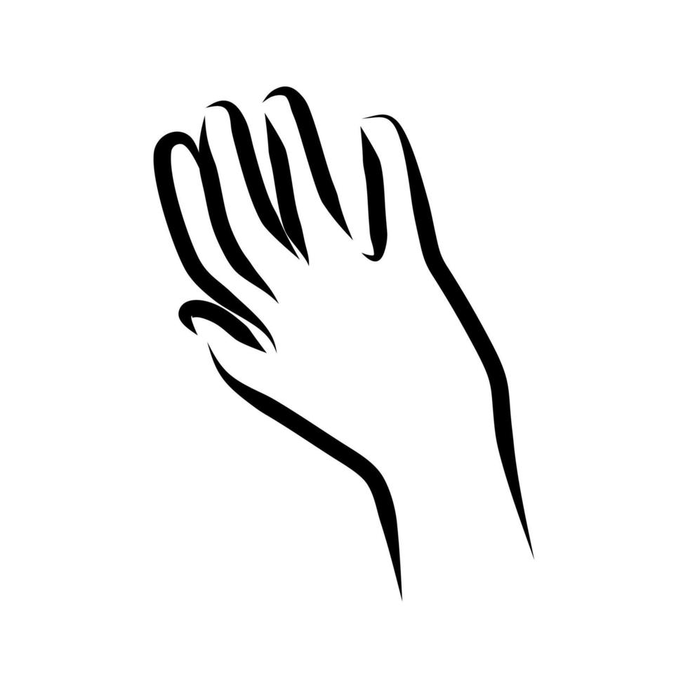 Line drawing of hand gesture vector