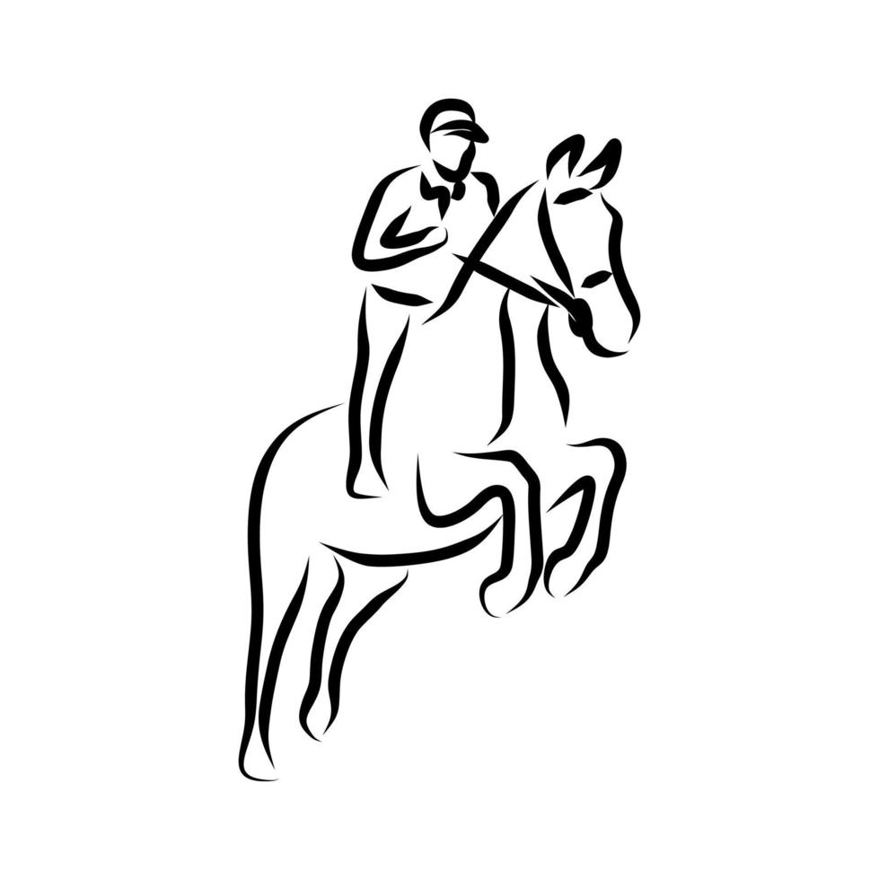 line drawing of horseman vector