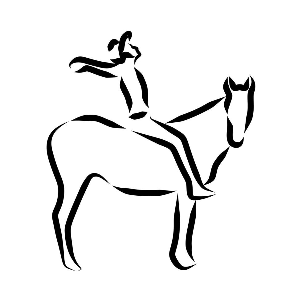 line drawing of horseman vector