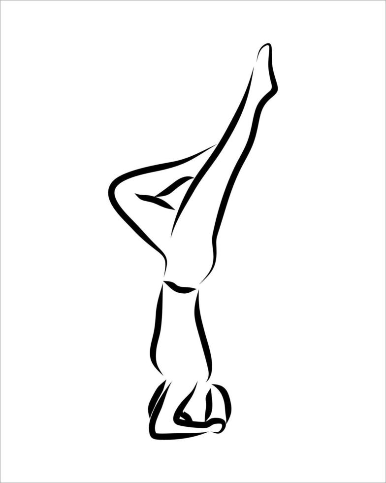 Line drawing of yoga vector