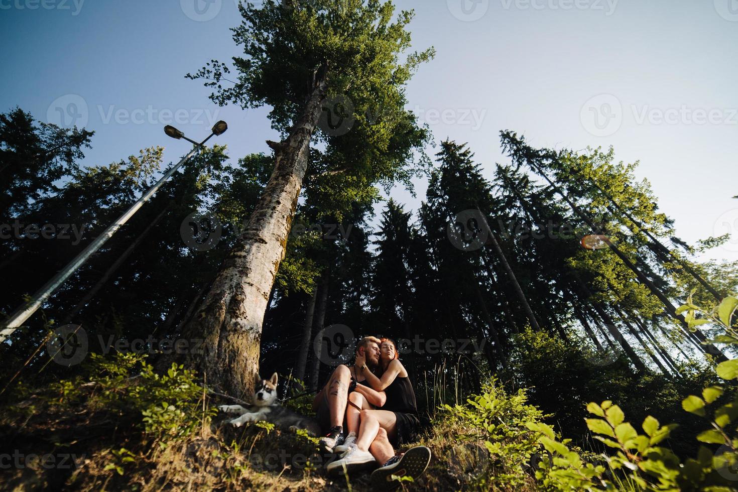 beautiful couple sitting in a forest near the tree photo