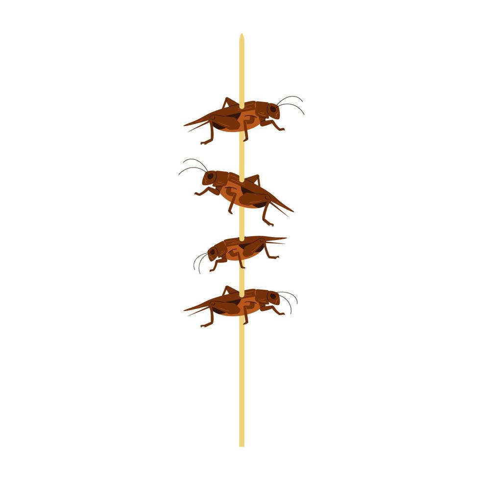 Wooden stick with fried crickets flat vector illustration isolated on white. Edible insects as alternative food.