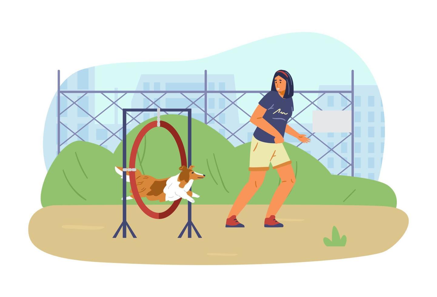 Woman training her sheltie dog on agility field. Dog jumping trough agility ring owner running alongside. vector