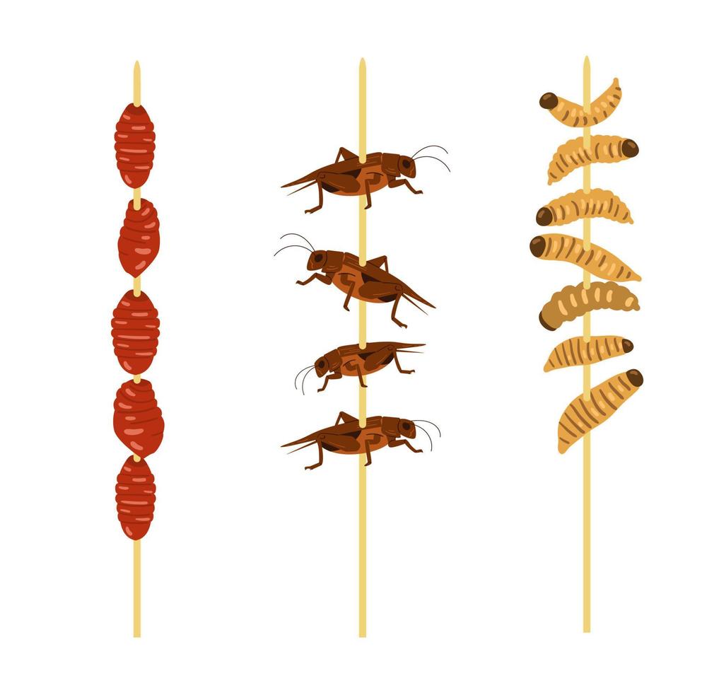 Wooden sticks with fried insects flat vector illustration. Edible insects house crickets, silkworms, caterpillars.