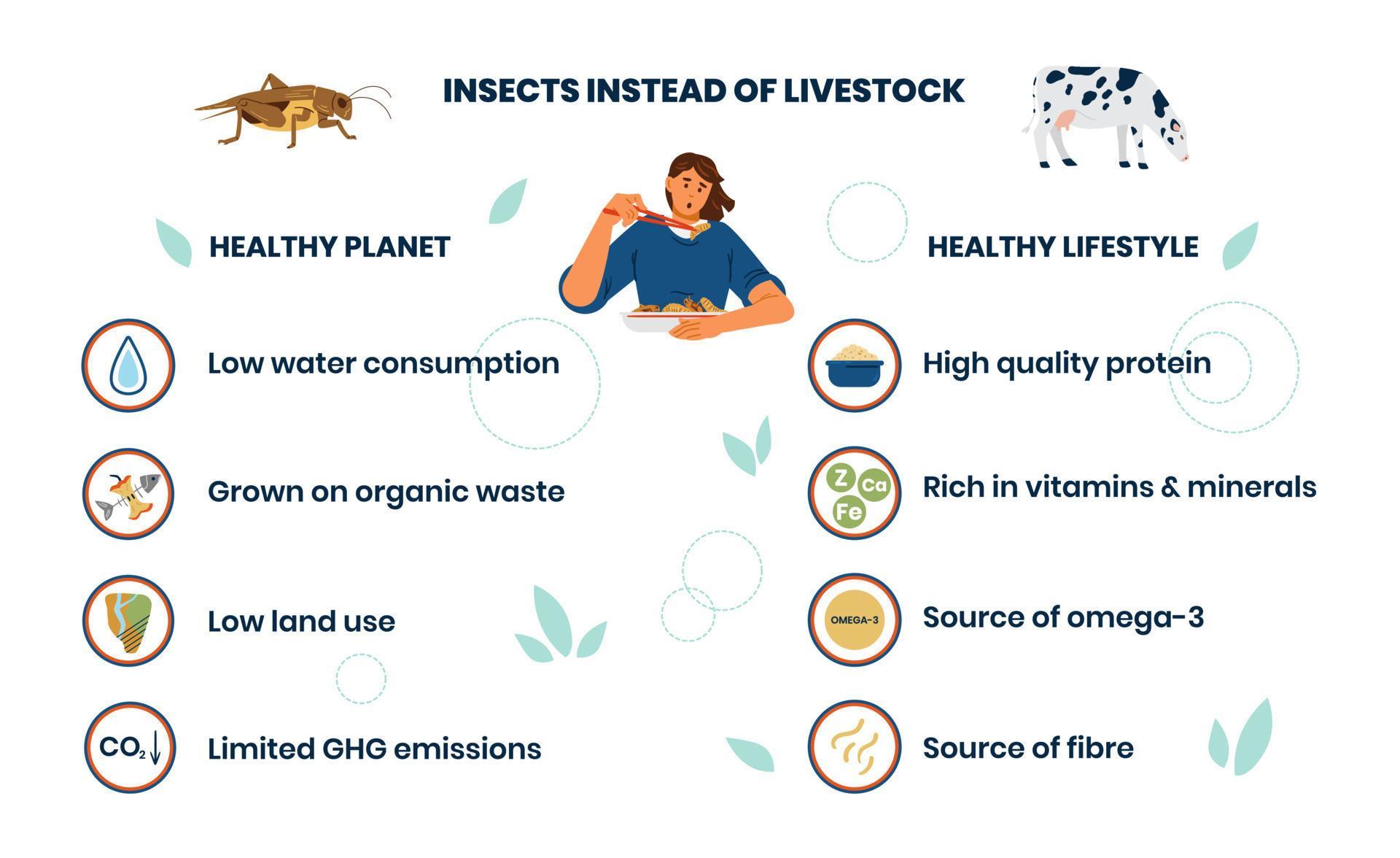 Advantages of eating insects for and for health infographics
