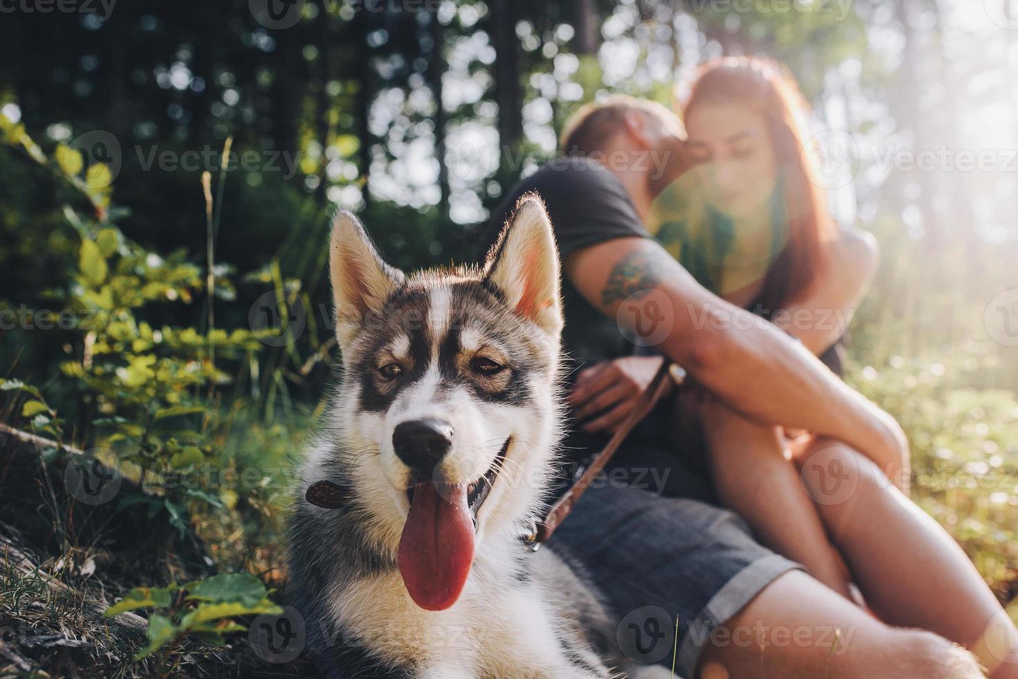 hermosa pareja descansando en el bosque foto