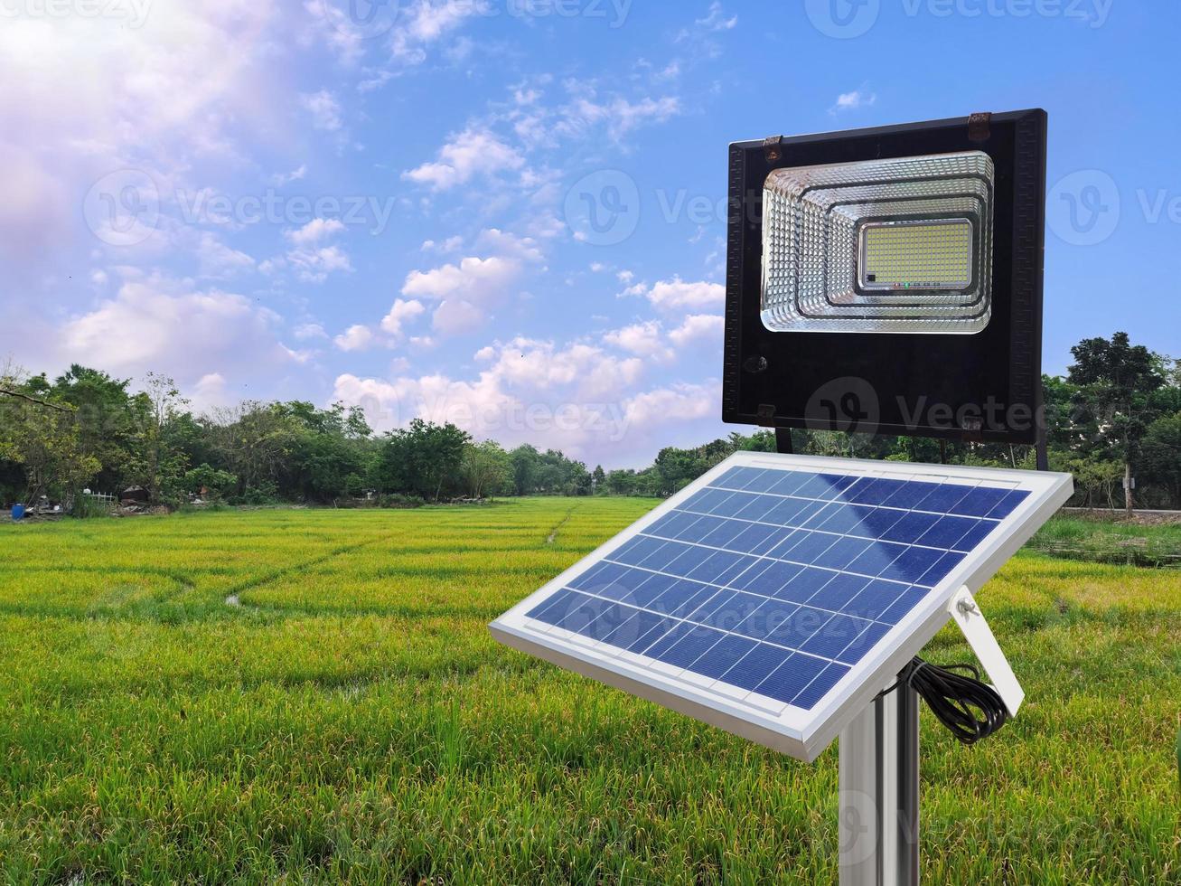 A photovoltaic spotlight uses solar energy in the middle of a rice field. pure energy concept photo