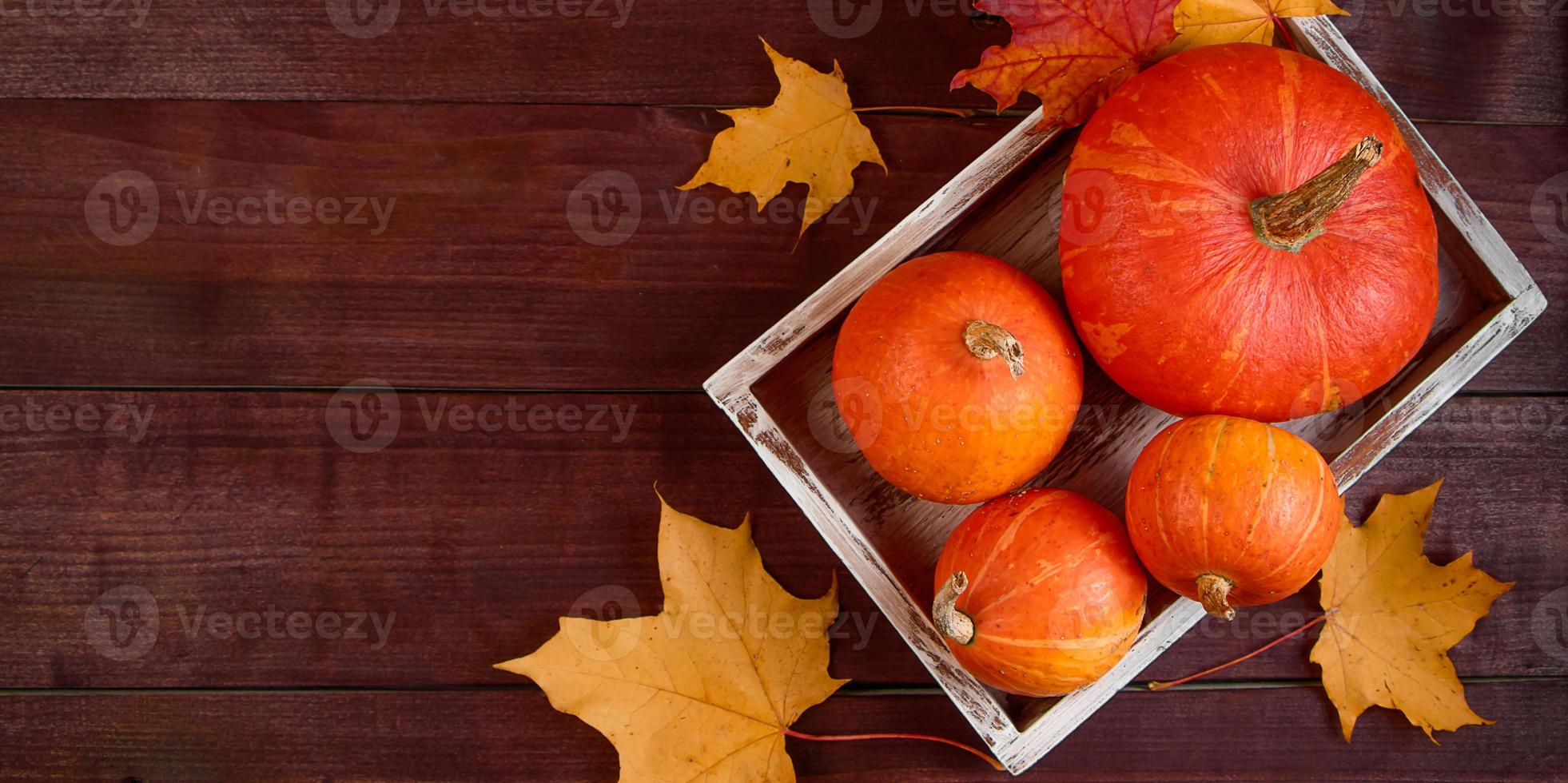 Autumn flat lay. Ripe pumpkins and yellow leaves in wooden box. Harvest and Thanksgiving concept. Halloween celebrations. photo