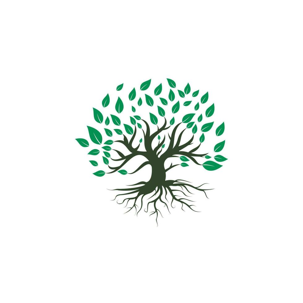 Tree root logo vector design illustration. Tree of Life logo design inspiration.