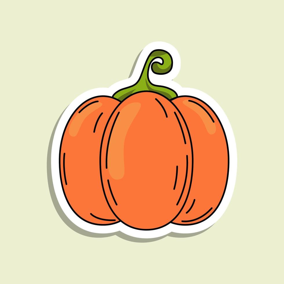 Vector colorful pumpkin sticker. Isolated autumn vegetable with lines and highlights. Halloween symbol on the light green background.