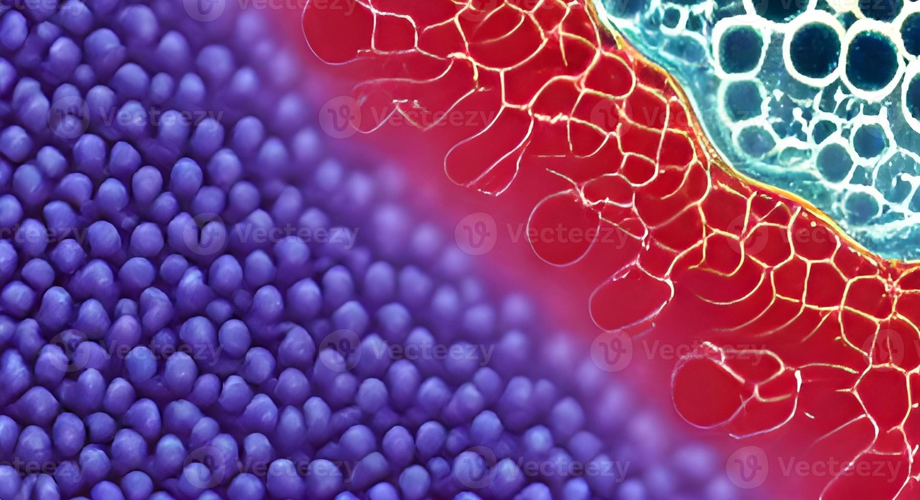 bacteria virus or germs microorganism cells. 3d rendering photo