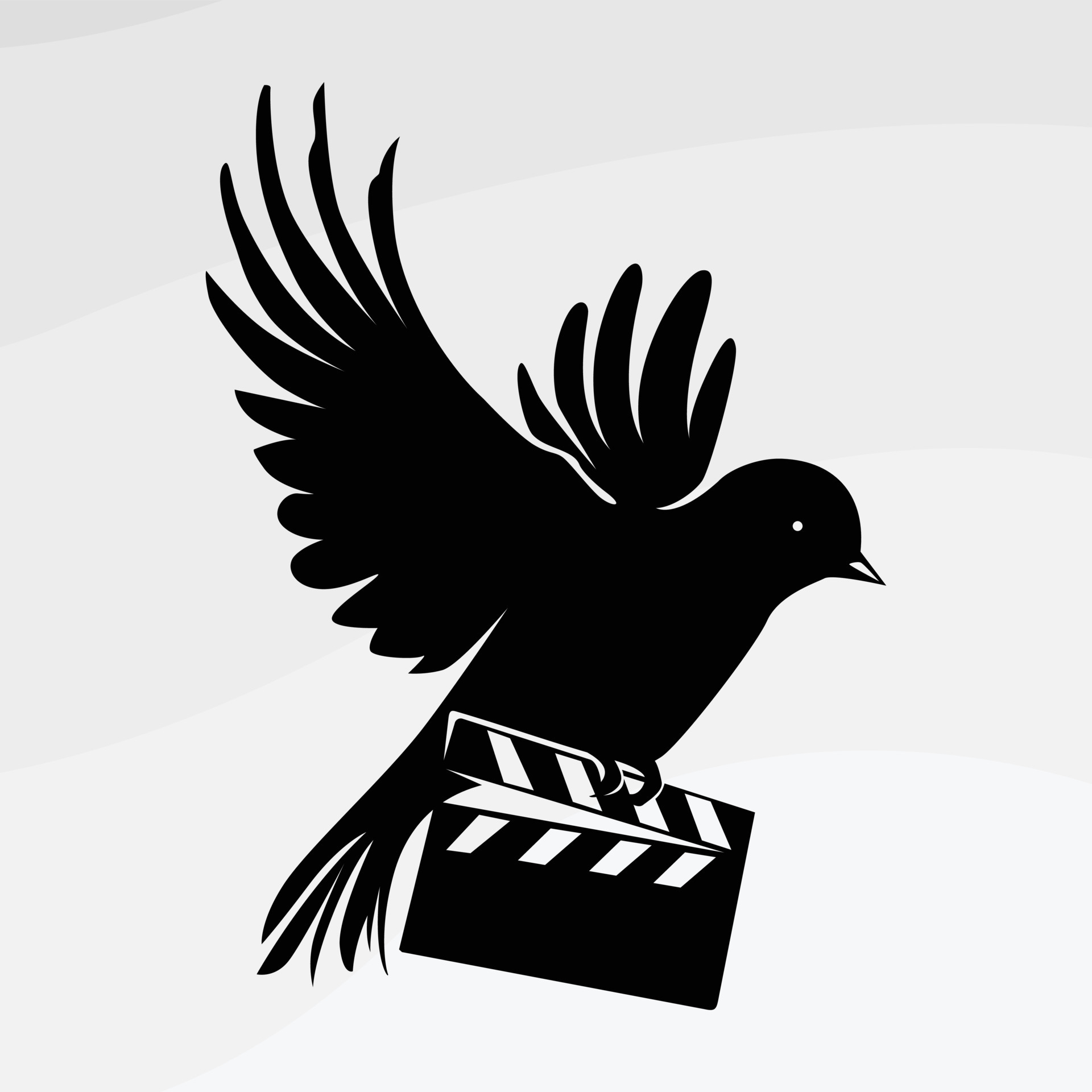 Vector logo illustration of a bird carrying a clapperboard 11469982