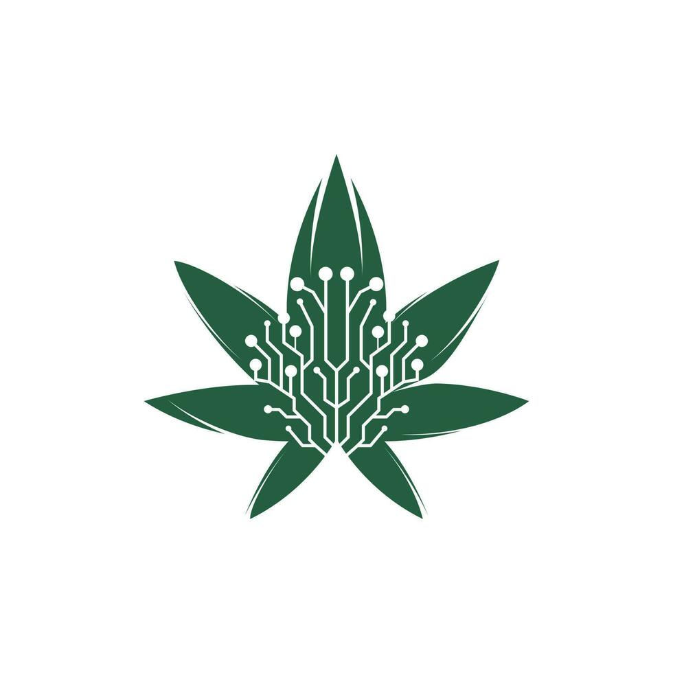 diseño de logotipo vectorial de tecnología de cannabis. el logotipo de cannabis formó un concepto digital. vector