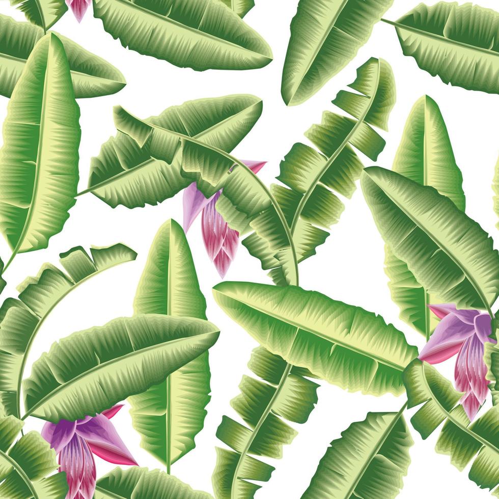 green banana leaves seamless pattern fashionable with banana flowers plants and foliage on white background. vector design. fabric prints texture. Floral background. Exotic tropics. Summer design