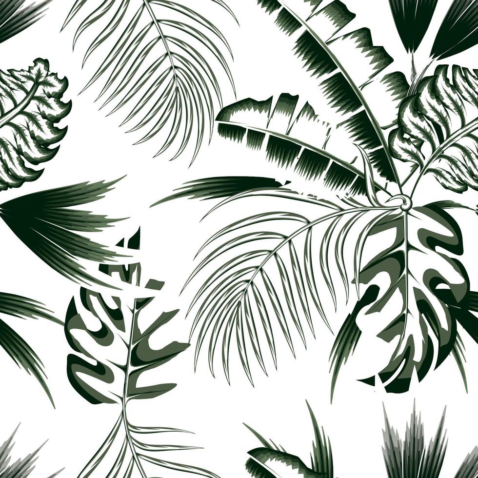 Summer seamless tropical pattern with abstract plant leaves and foliage on white background. Modern abstract design for fabric, paper, interior decor. Summer hawaiian. nature wallpaper. Exotic tropic vector