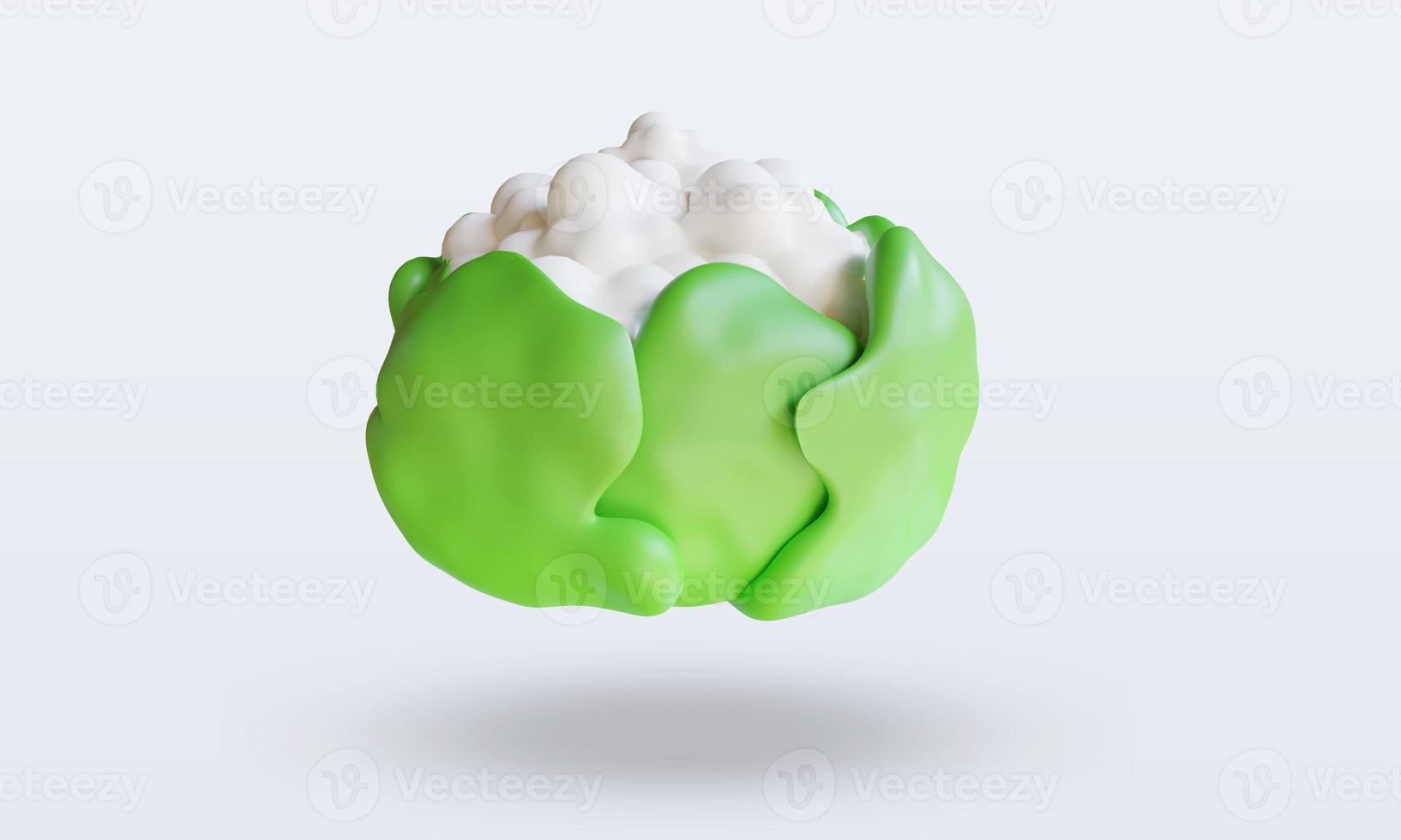 3d Vegetable Cauliflower rendering front view photo