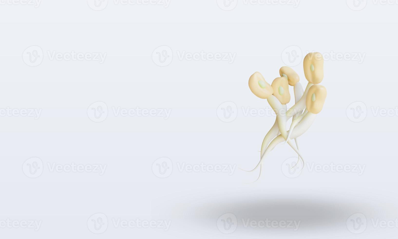 3d Vegetable Bean sprouts rendering right view photo