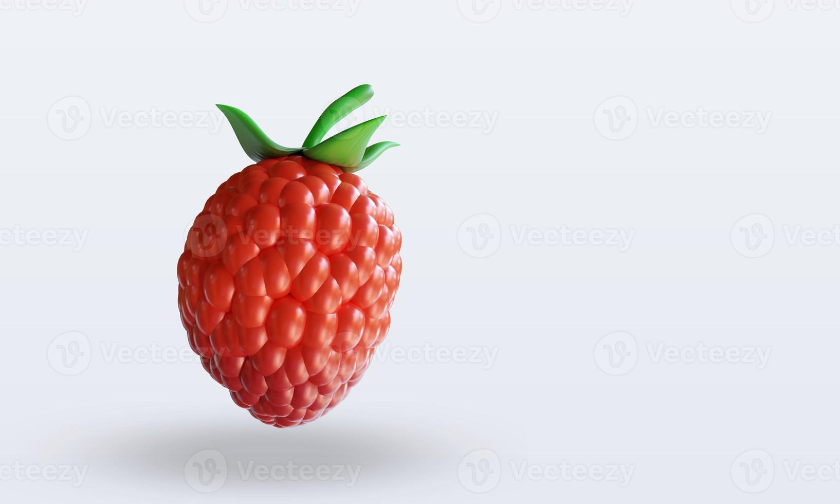 3d Fruits Raspberry rendering left view photo