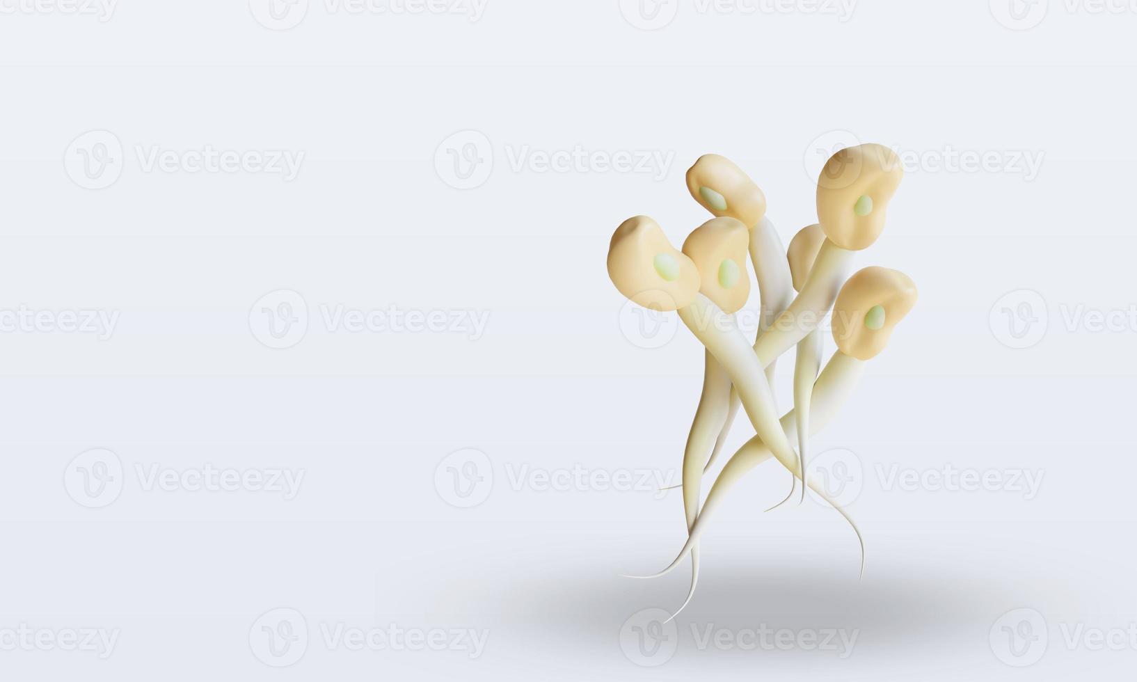 3d Vegetable Bean sprouts rendering top view photo