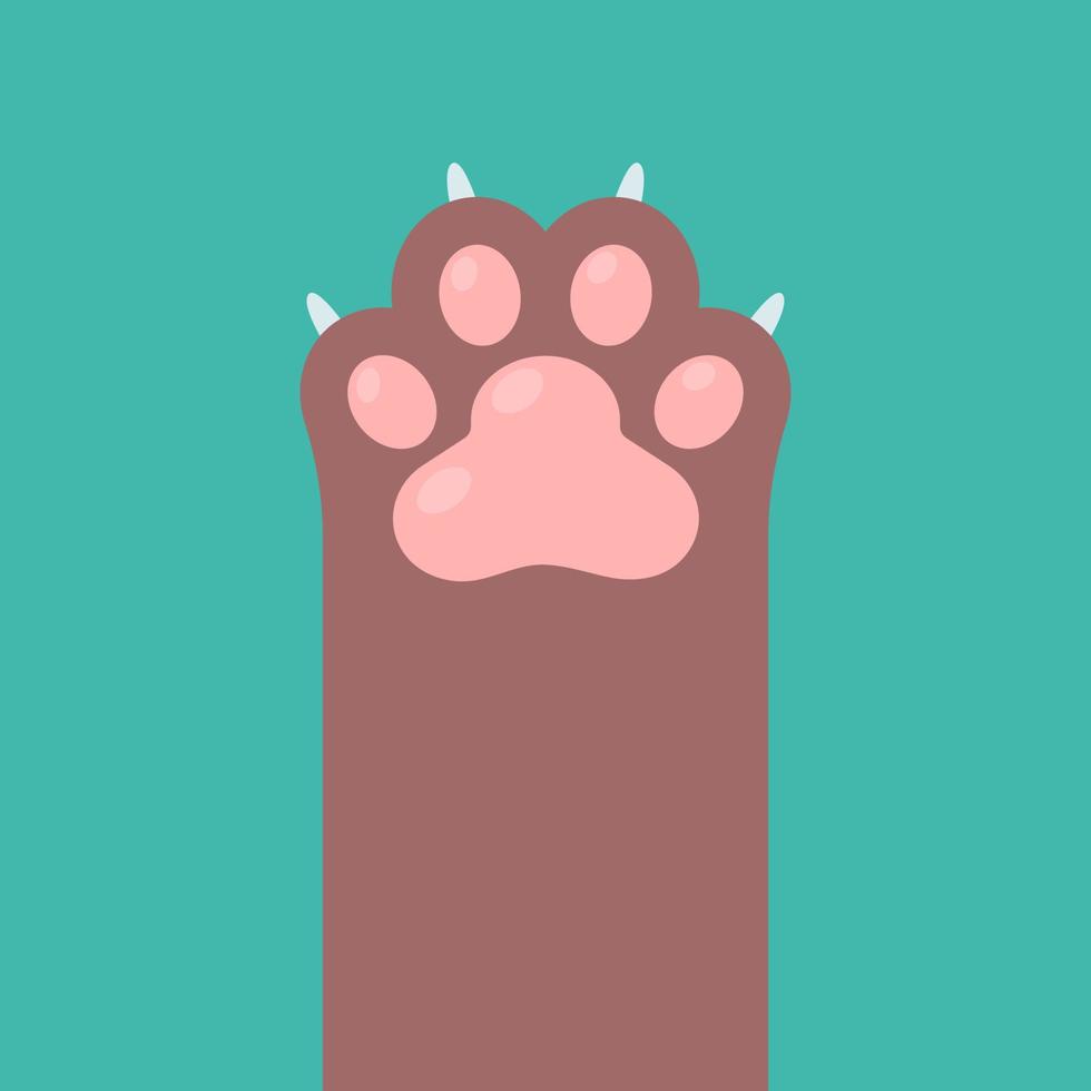 Dog and cat paws with sharp claws. cute animal footprints vector