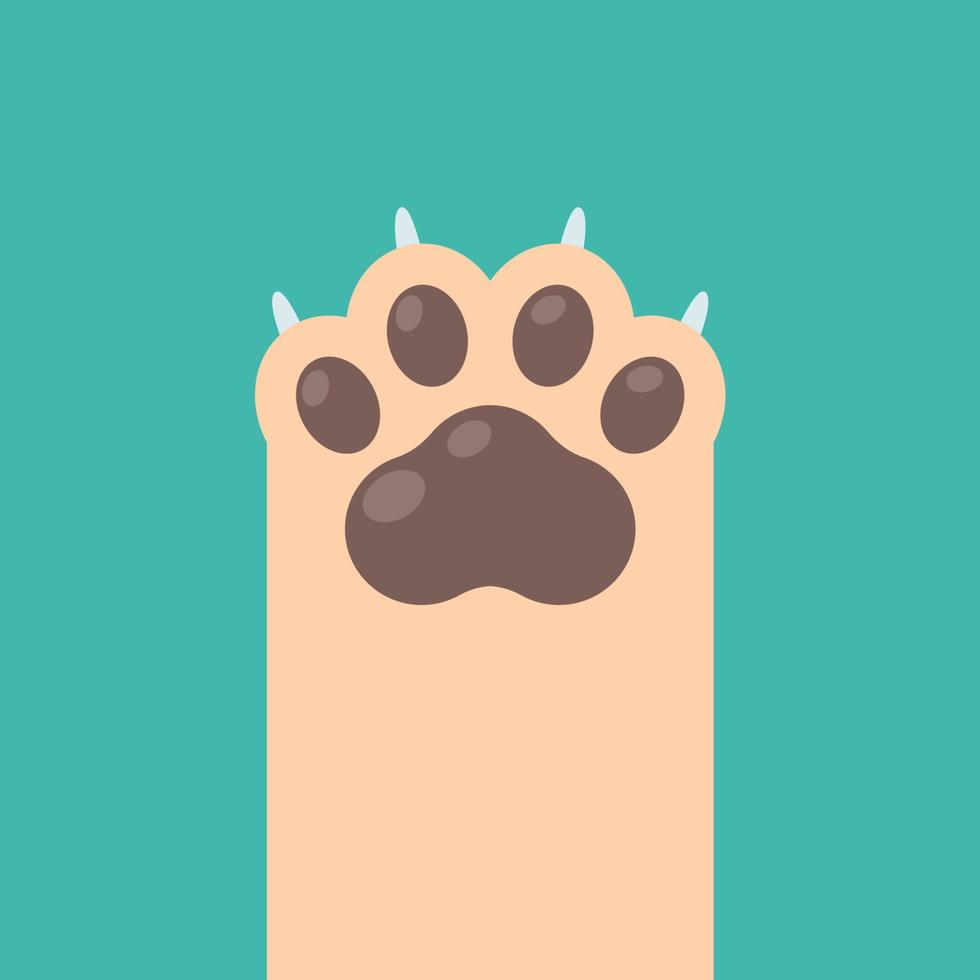Dog and cat paws with sharp claws. cute animal footprints vector