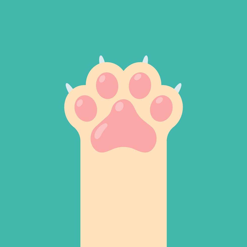 Dog and cat paws with sharp claws. cute animal footprints vector