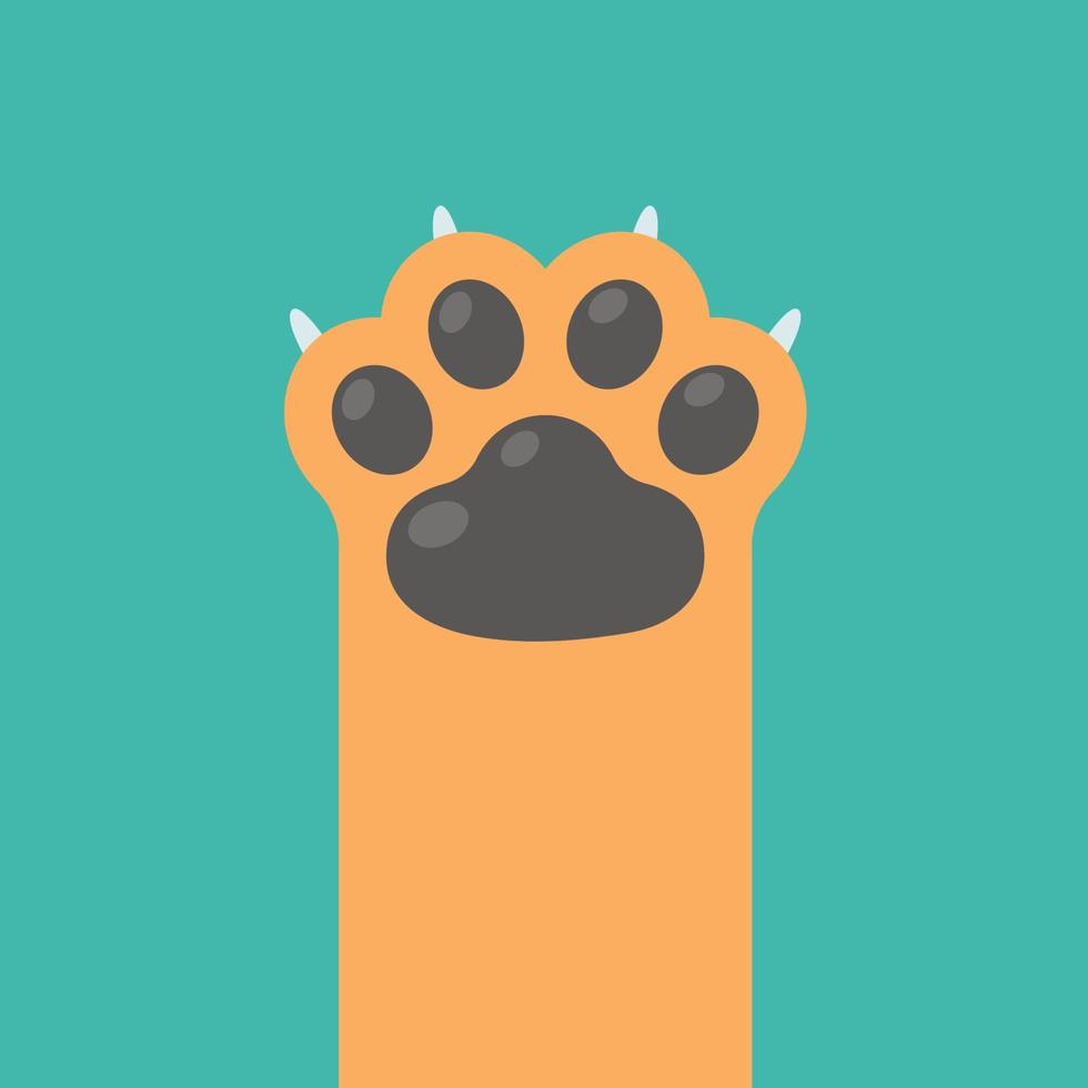 Dog and cat paws with sharp claws. cute animal footprints vector