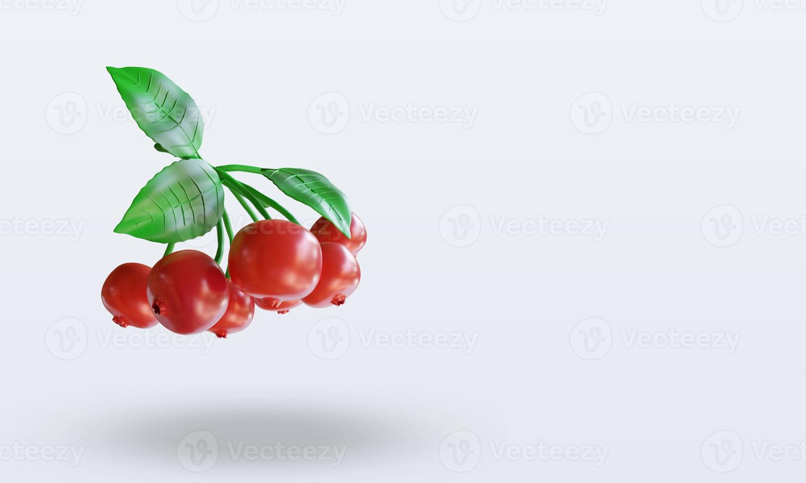 3d Fruits Cranberry rendering left view photo