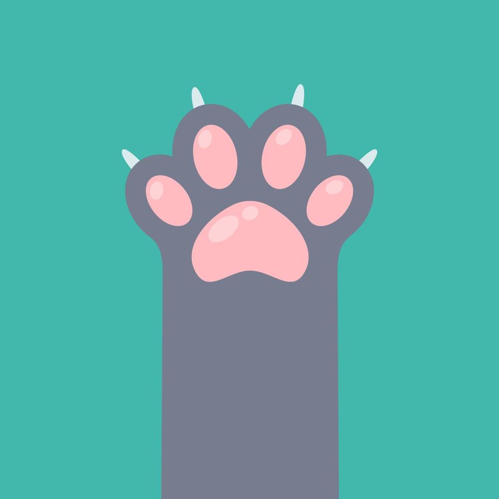 Dog and cat paws with sharp claws. cute animal footprints vector