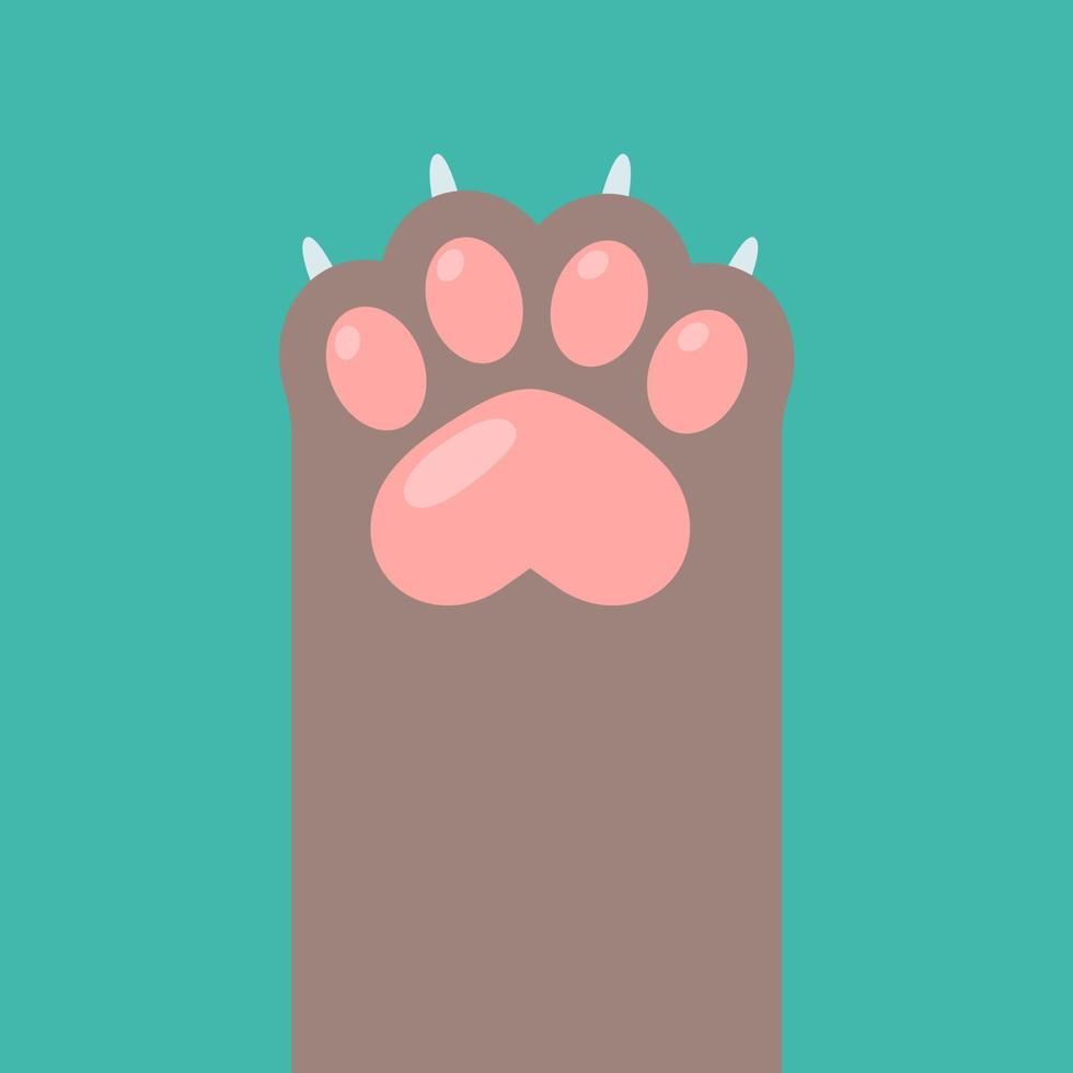 Dog and cat paws with sharp claws. cute animal footprints vector