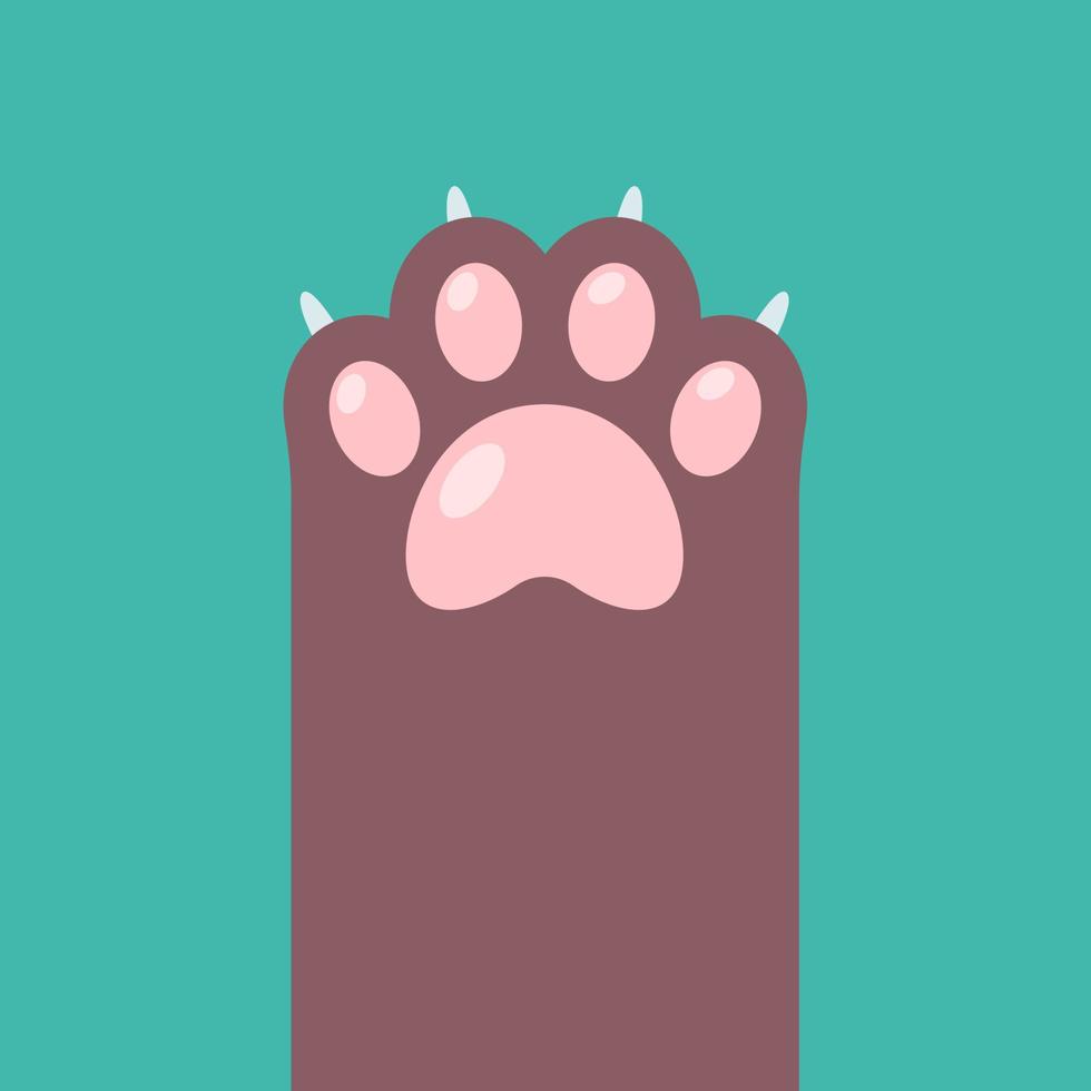 Dog and cat paws with sharp claws. cute animal footprints vector