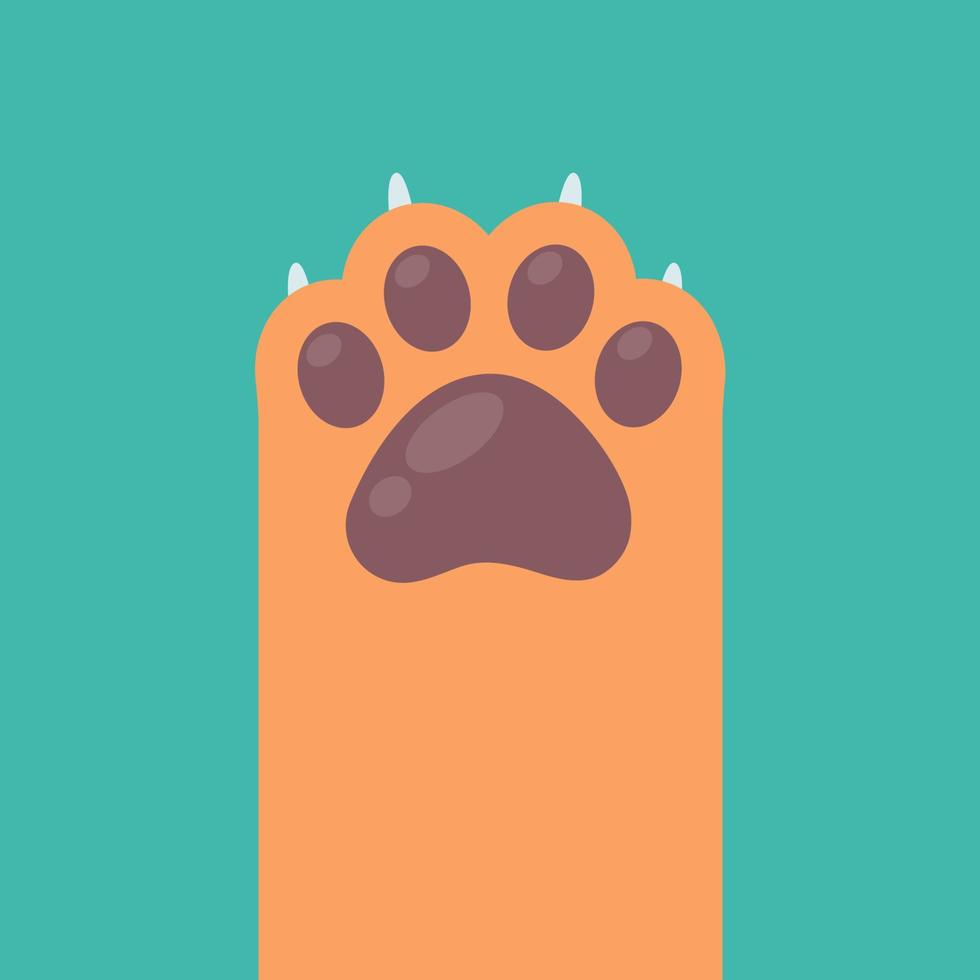 Dog and cat paws with sharp claws. cute animal footprints vector