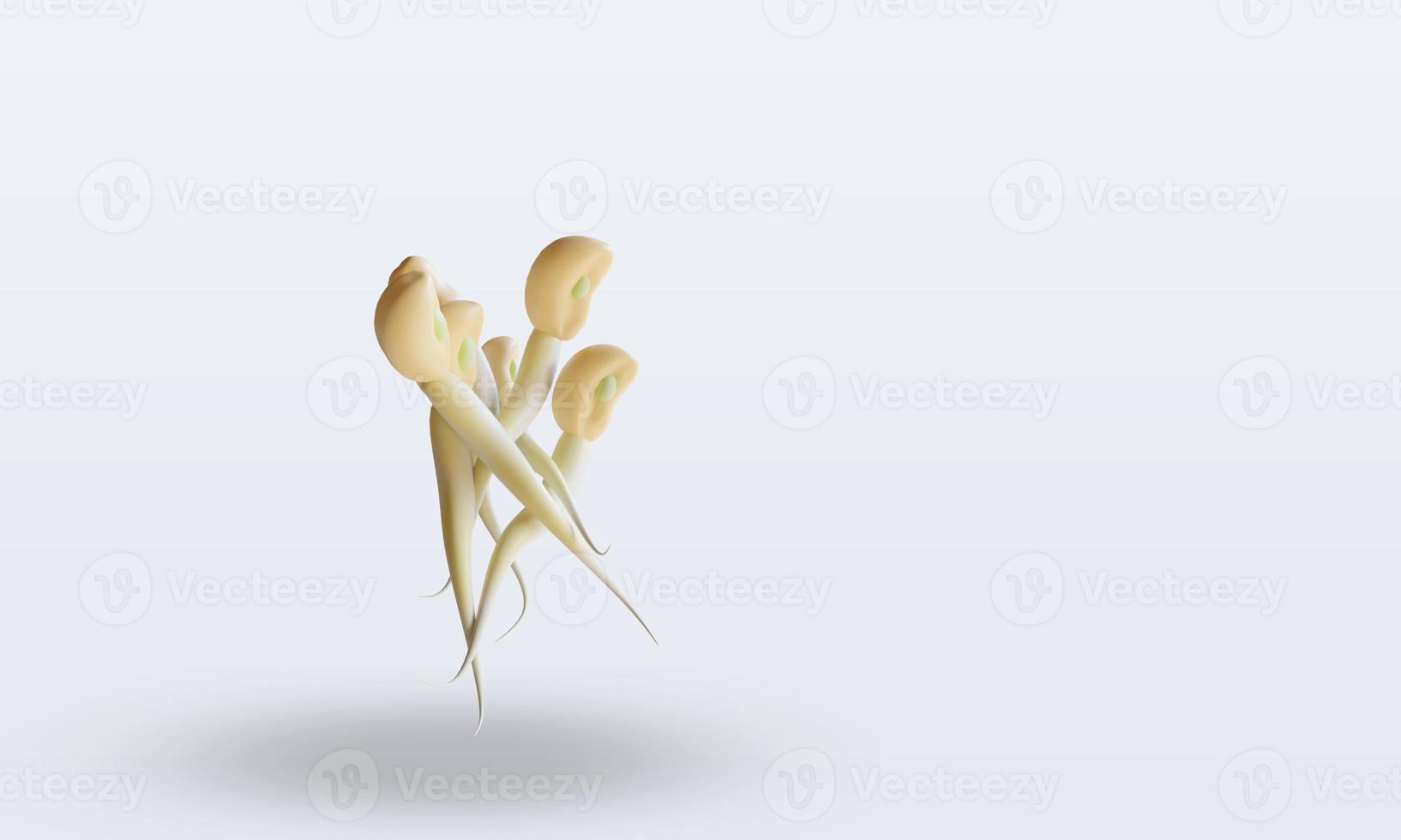 3d Vegetable Bean sprouts rendering left view photo