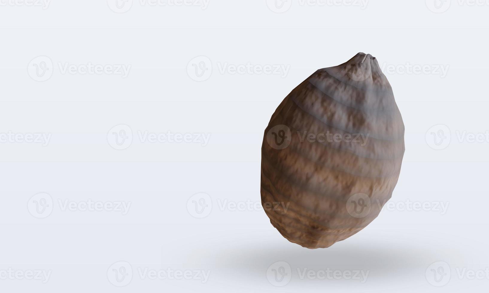 3d Vegetable Taro rendering top view photo