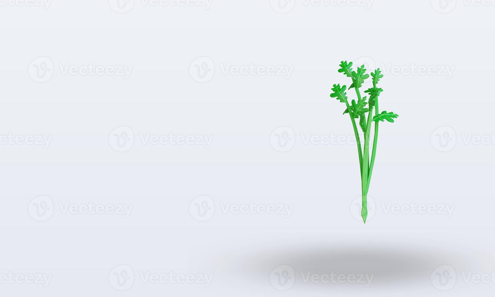 3d Vegetable Celery rendering right view photo
