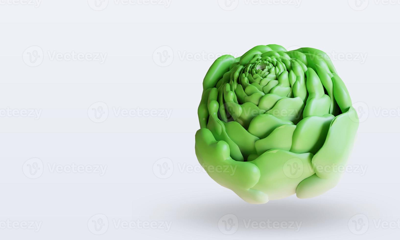 3d Vegetable Cabbage rendering top view photo