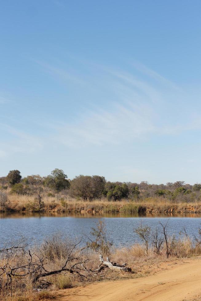 Mabula Bushveld Dam photo