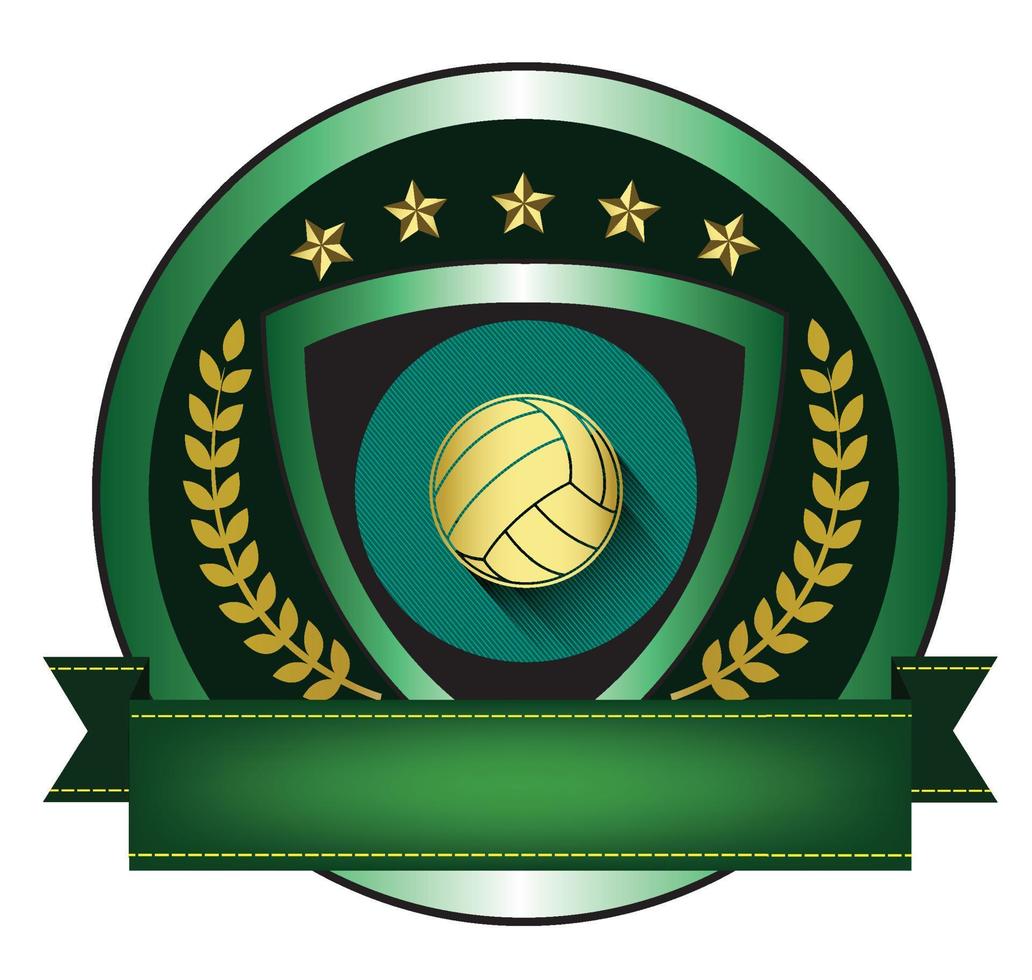 Volleyball logo.It's winner concept vector