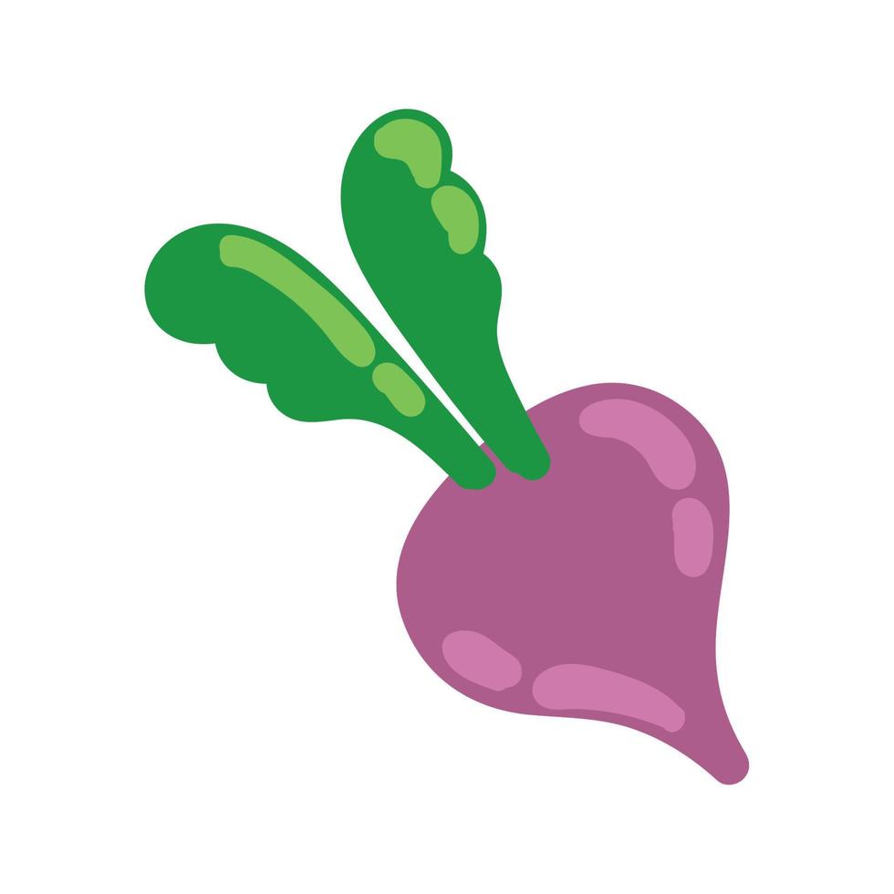 radish healthy food vector