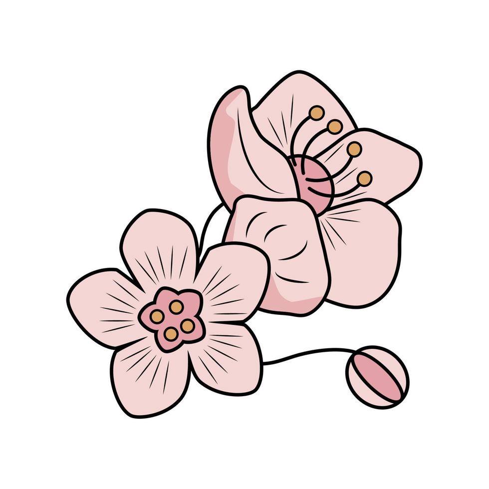 flor de cerezo sakura vector